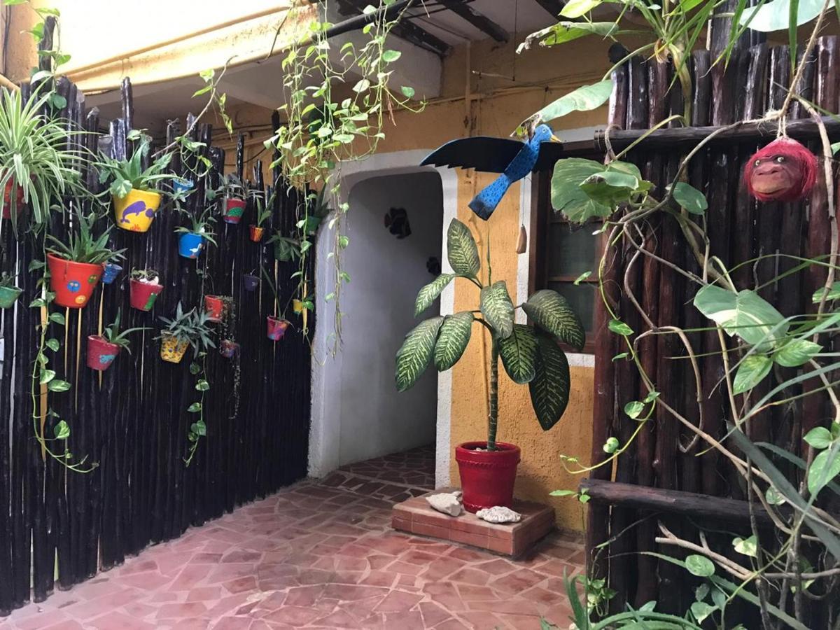 Maison Tulum Exterior photo